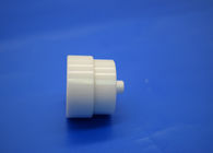 99% High Zirconia Alumina Ceramic Dry- pressure Plunger Piston OEM